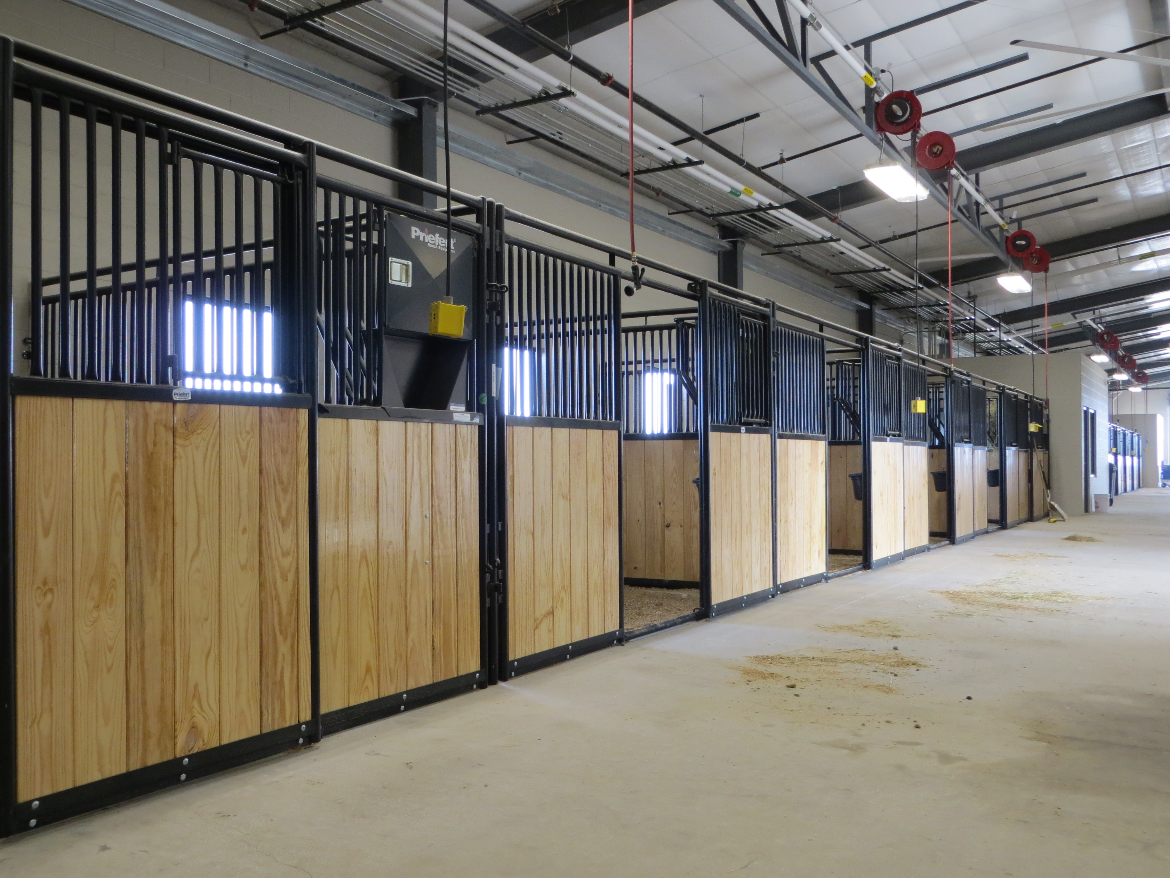 Mounted Patrol 04.JPG